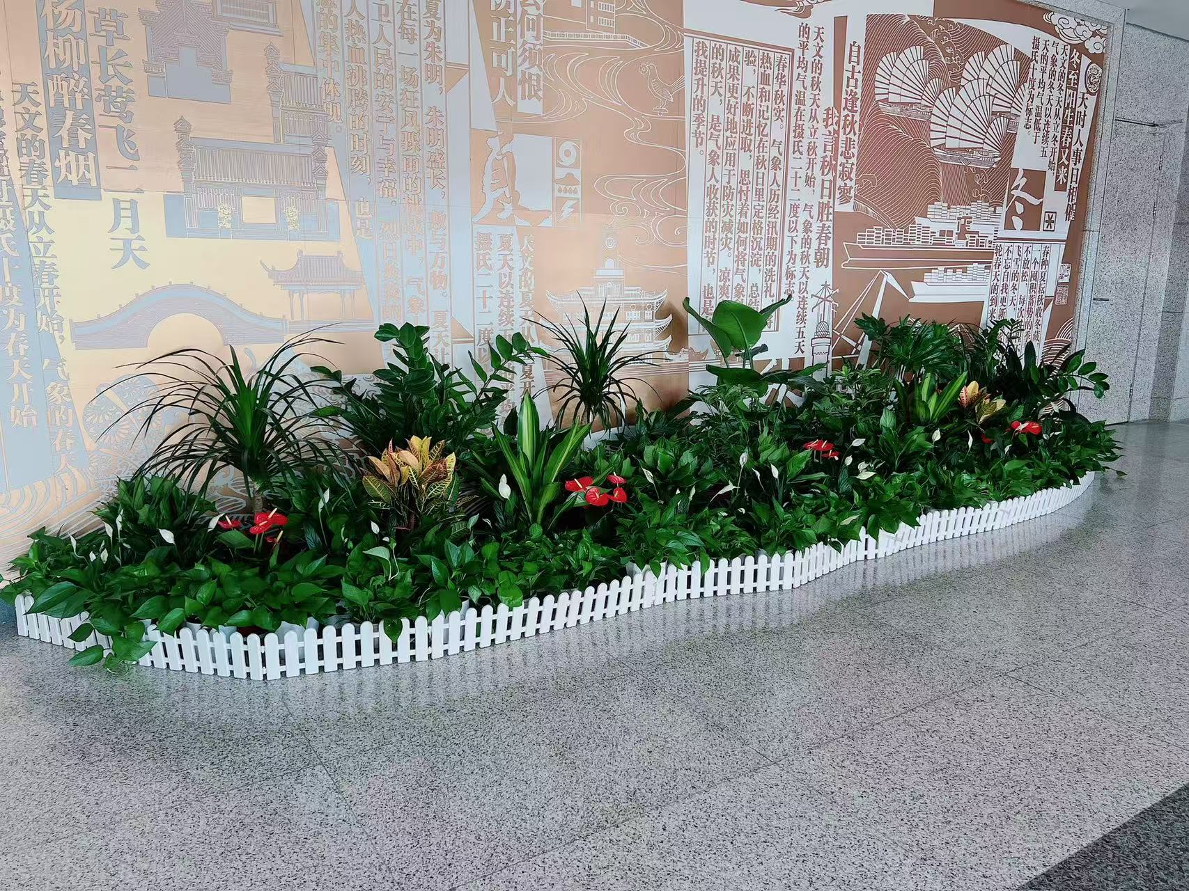 超实惠宁波盆景出租，给你别样景观体验！